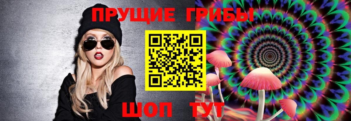 Дербент  Псилоцибиновые грибы MAGIC MUSHROOMS  Галлюциногенные грибы прущие грибы  Вход с VPN 