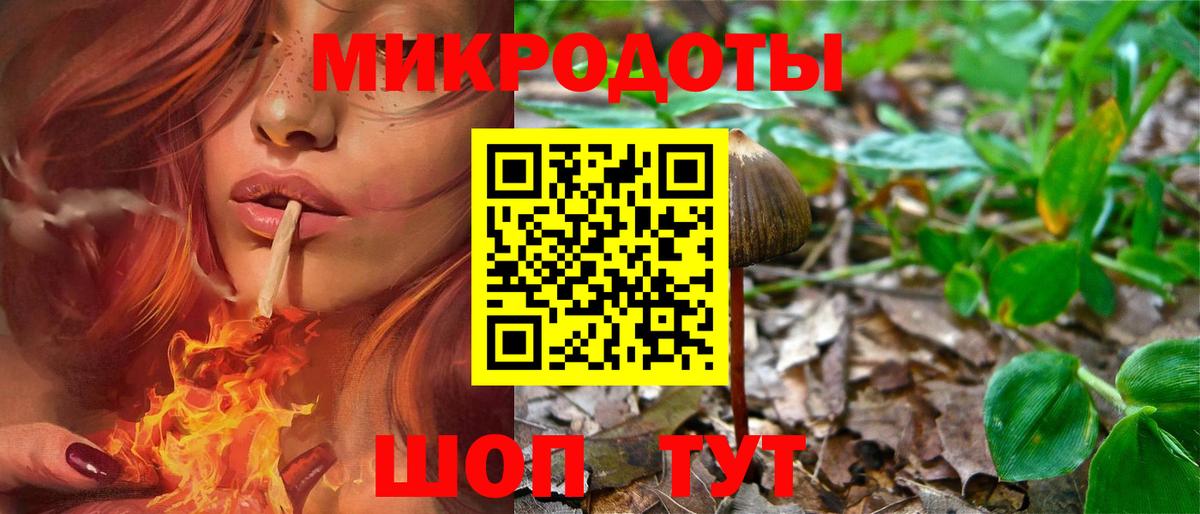Галлюциногенные грибы мицелий Дербент